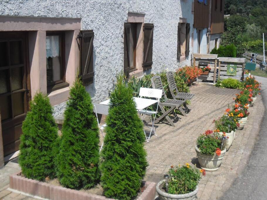 Gite La Fermette A Docelles Exterior foto