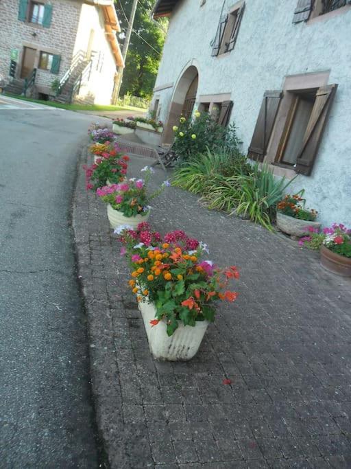 Gite La Fermette A Docelles Exterior foto