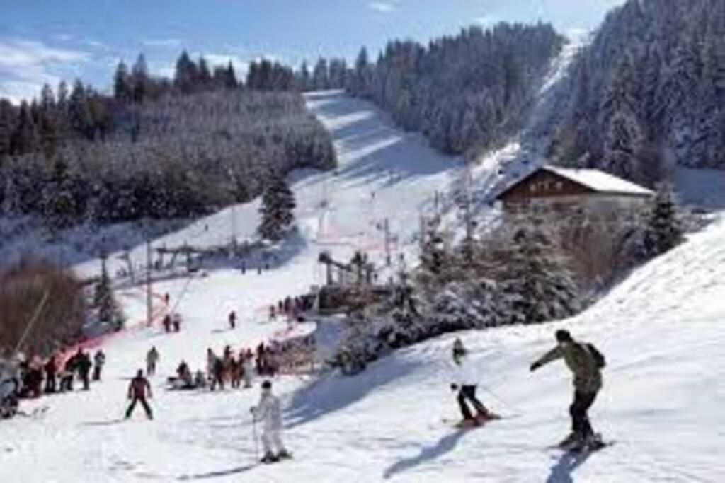 Gite La Fermette A Docelles Exterior foto